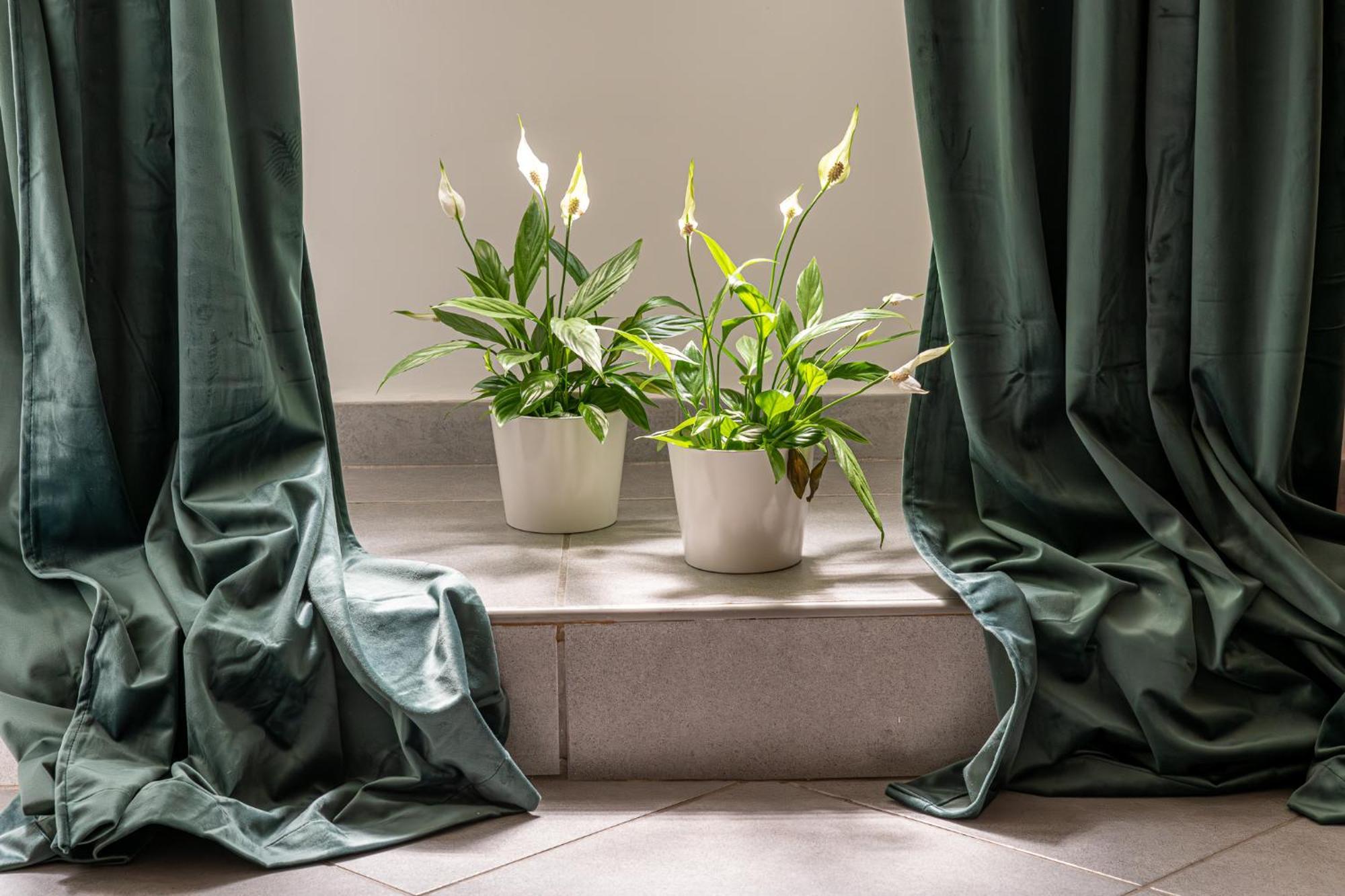 Belle Arti Home Roma Dış mekan fotoğraf